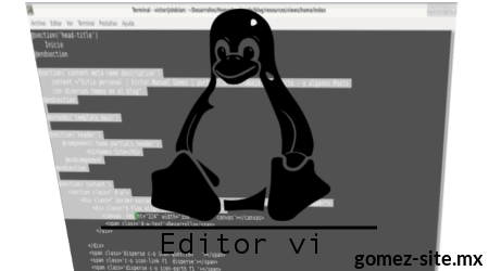 Cortar, copiar y pegar texto con el editor vi blog gomez-ste