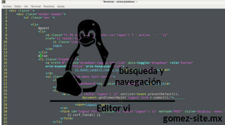 Búsqueda y navegación en un fichero con editor vi blog gomez-ste